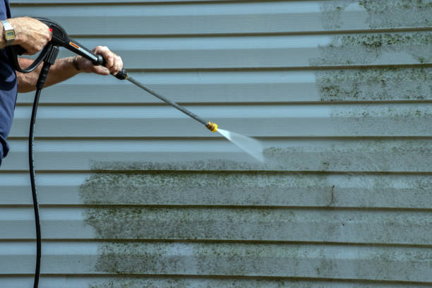Best Pressure Washing Brick  in Shawneetown, IL