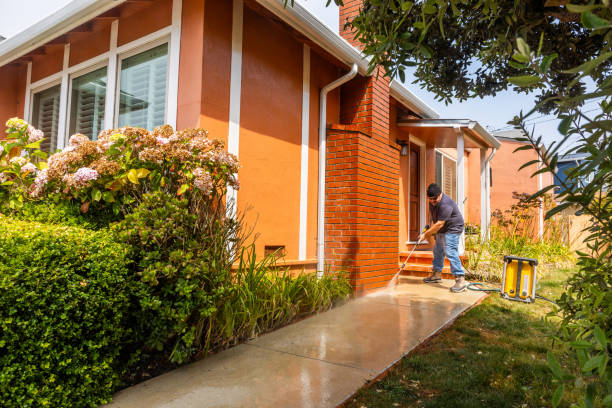 Best Exterior Home Cleaning  in Shawneetown, IL