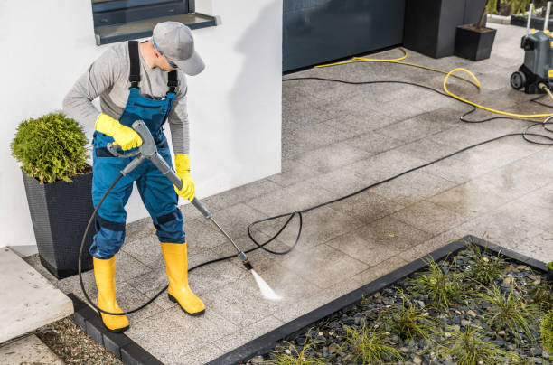 Best Affordable Pressure Washing  in Shawneetown, IL