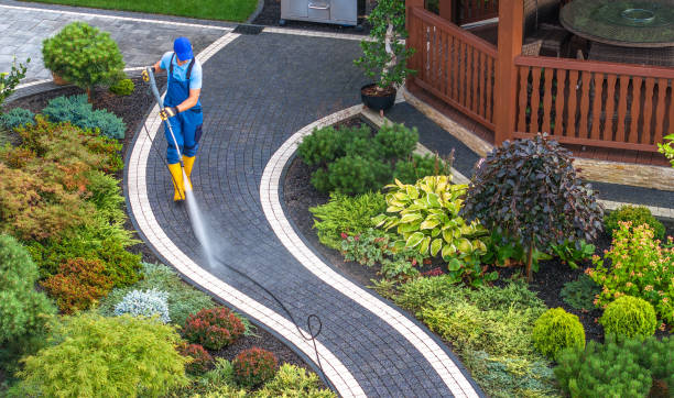Best Sidewalk Pressure Washing  in Shawneetown, IL